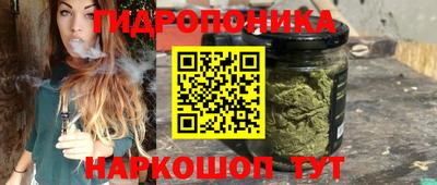 индика Нягань